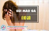 
						Sùi mào gà nữ và những điều cần biết