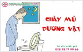 
						Chảy Mủ Dương Vật Cảnh Báo Bệnh Lý Nguy Hiểm Gì?