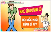 
						Nước Tiểu Màu Đỏ Cảnh Báo Bệnh Lý Nguy Hiểm Gì?