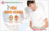 
						Điều Trị Viêm Bàng Quang Như Thế Nào Hiệu Quả?