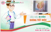 
						Tìm hiểu về các phương pháp điều trị viêm đường tiết niệu tốt nhất