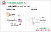 
						Viêm Đường Tiết Niệu Ở Nam Giới Và Những Triệu Chứng Nhận Biết