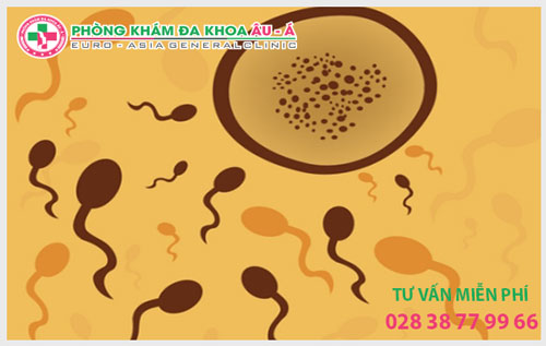 Tinh trùng có màu vàng nhạt là biểu hiện của bệnh gì?